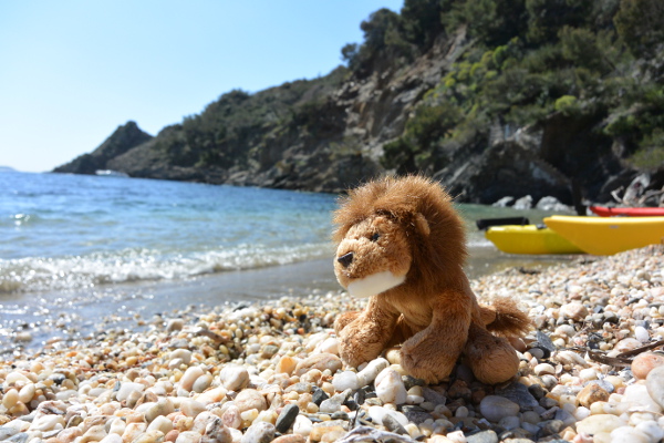 cékalomi dans la Grande Calanque