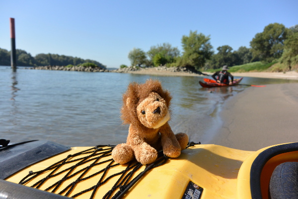 Cékalomi fait une pause sur une plage à Beaucaire