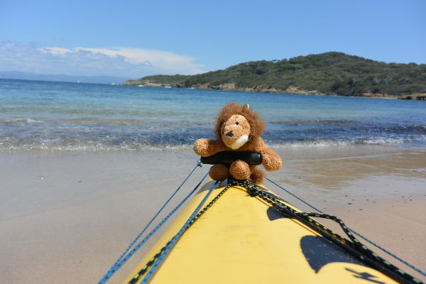 Cékalomi sur la Plage du Langoustier à Porquerolles