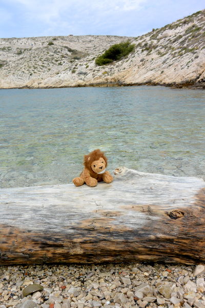 Cékalomi sur la Plage du Grand Soufre sur l'Île Ratonneau