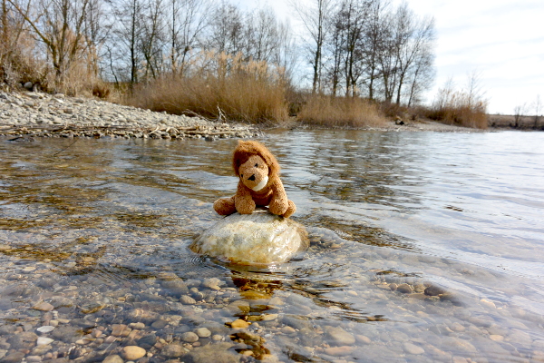 Cékalomi à Miribel