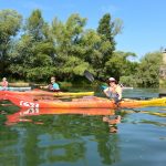 Descente de la Saône de Belleville à Lyon (juin 2020)